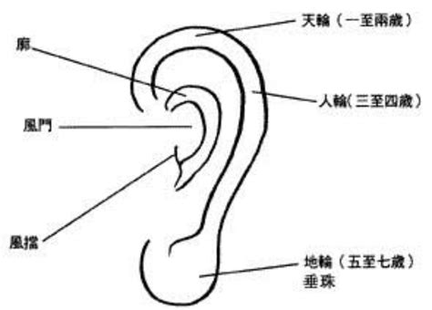 耳珠生毛|面相深论之“耳朵”系列—01